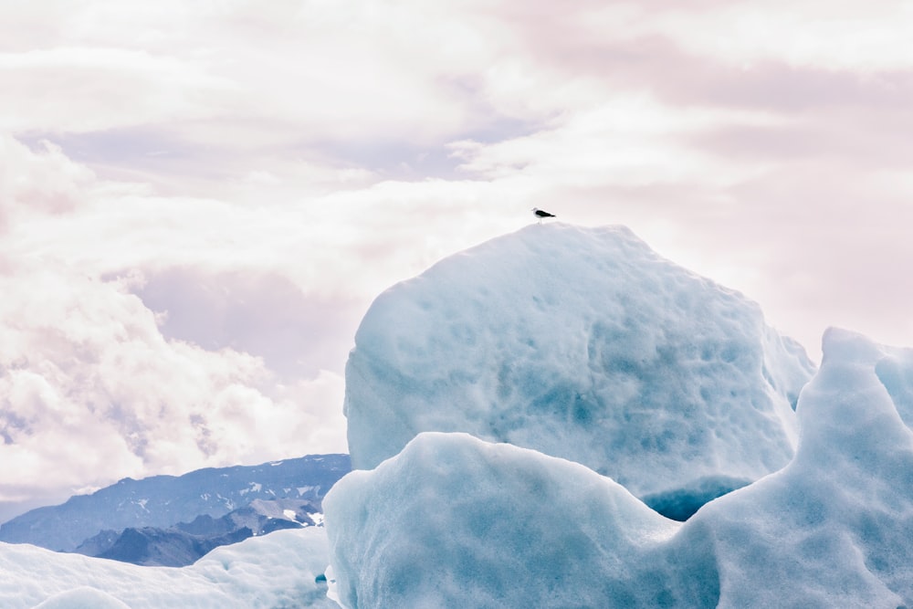 white iceberg