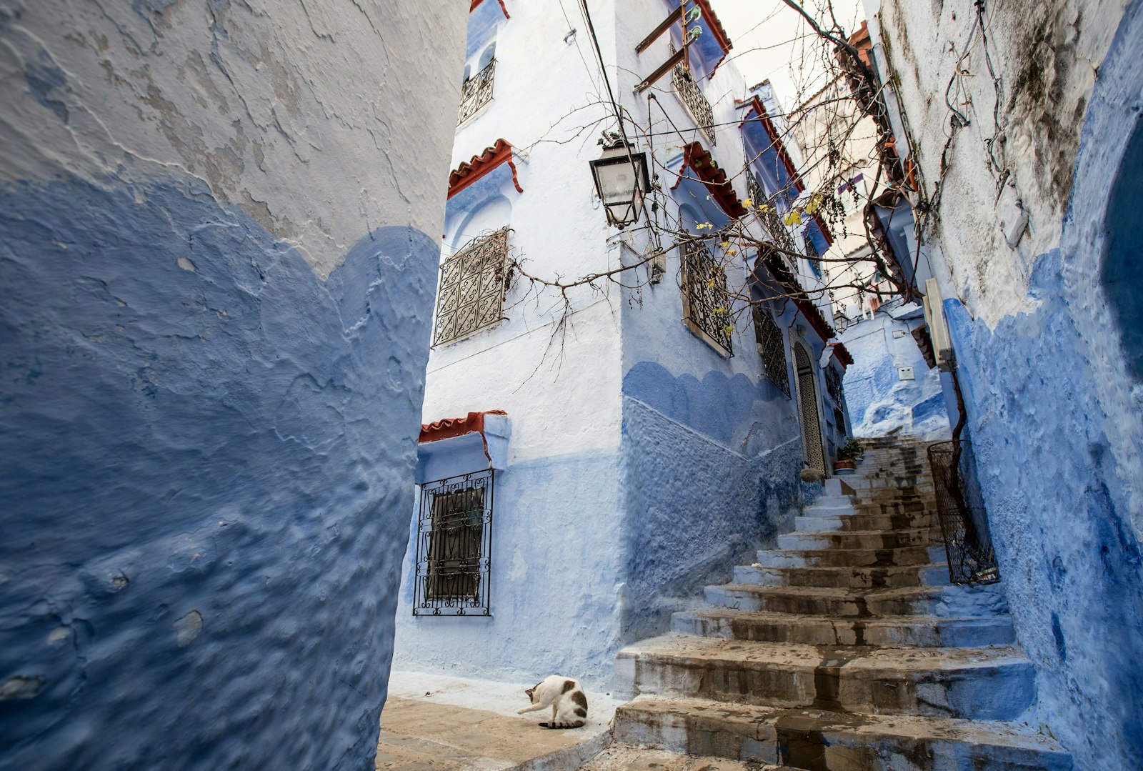 Canon EF 16-35mm F2.8L II USM sample photo. White and blue-painted concrete photography