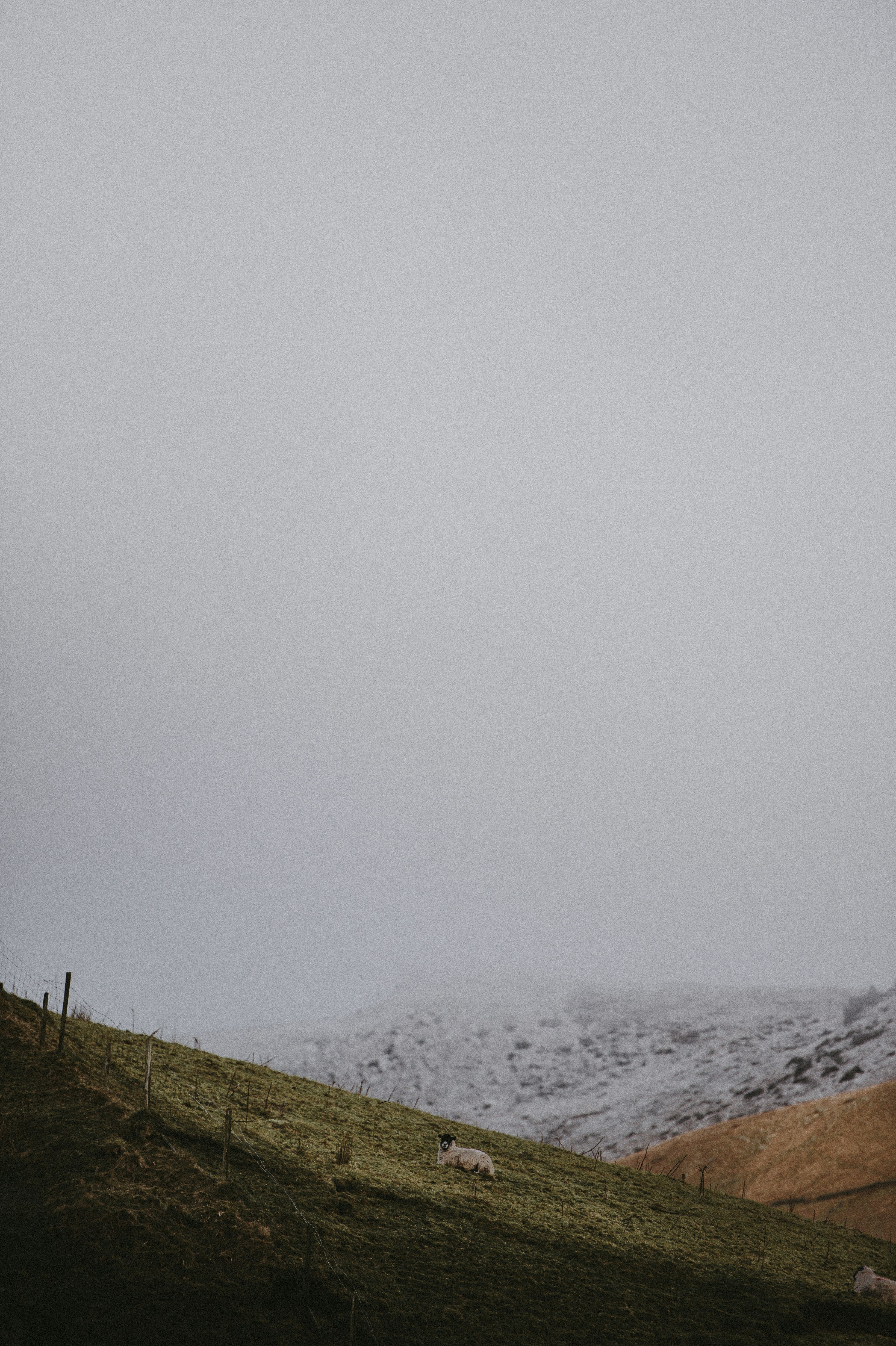 Photo by anniespratt