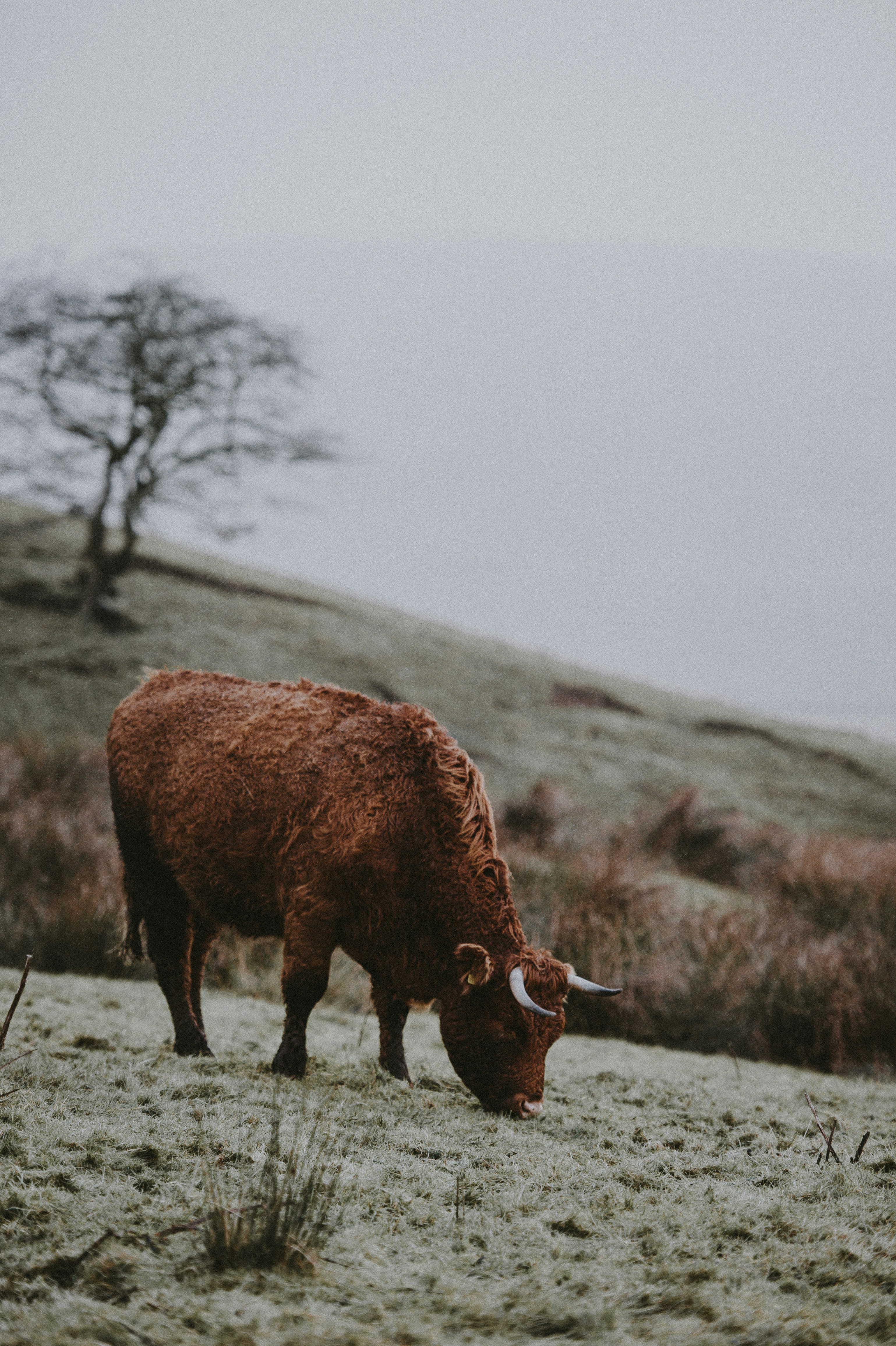 Photo by anniespratt