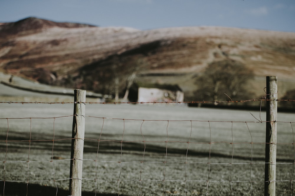 selective focus photography of gray fence