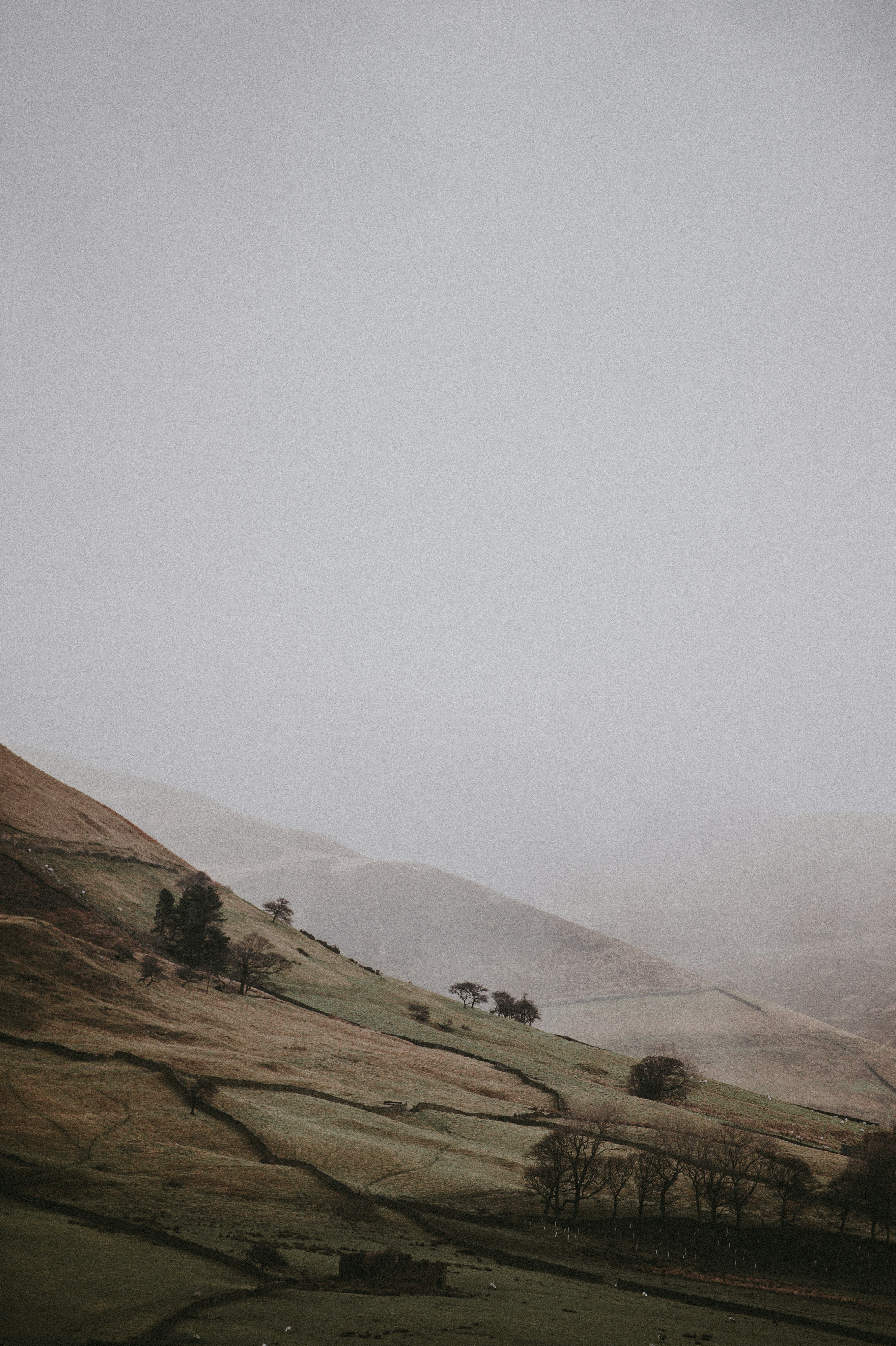 Photo by anniespratt