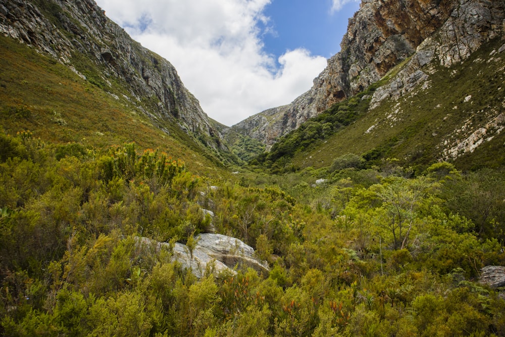 a view of a valley in the middle of a mountain range