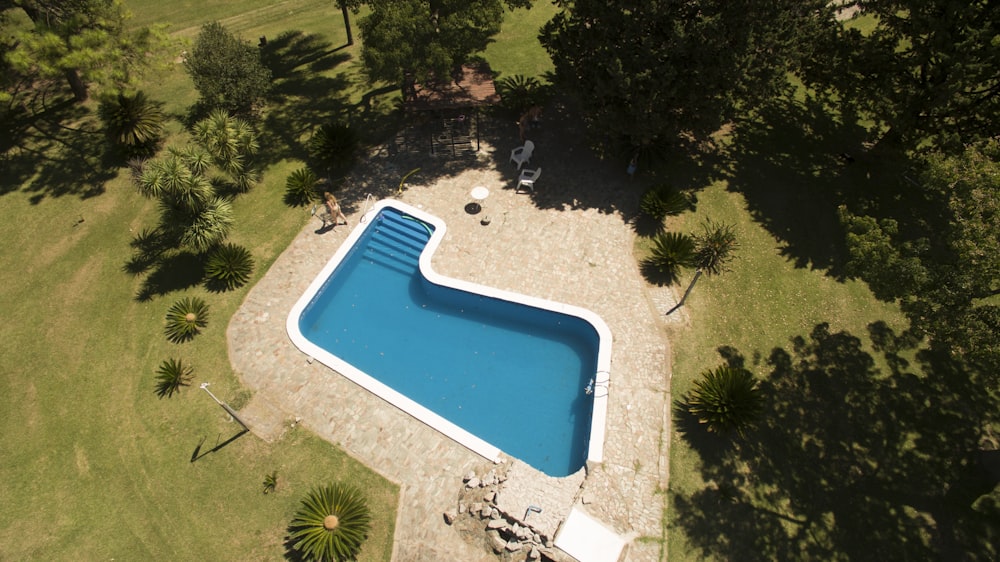 aerial photo of swimming pool with green leafed trees