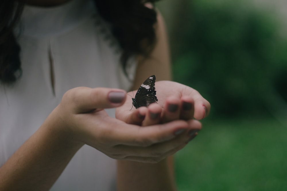 schwarzer Schmetterling auf der Handfläche der Frau