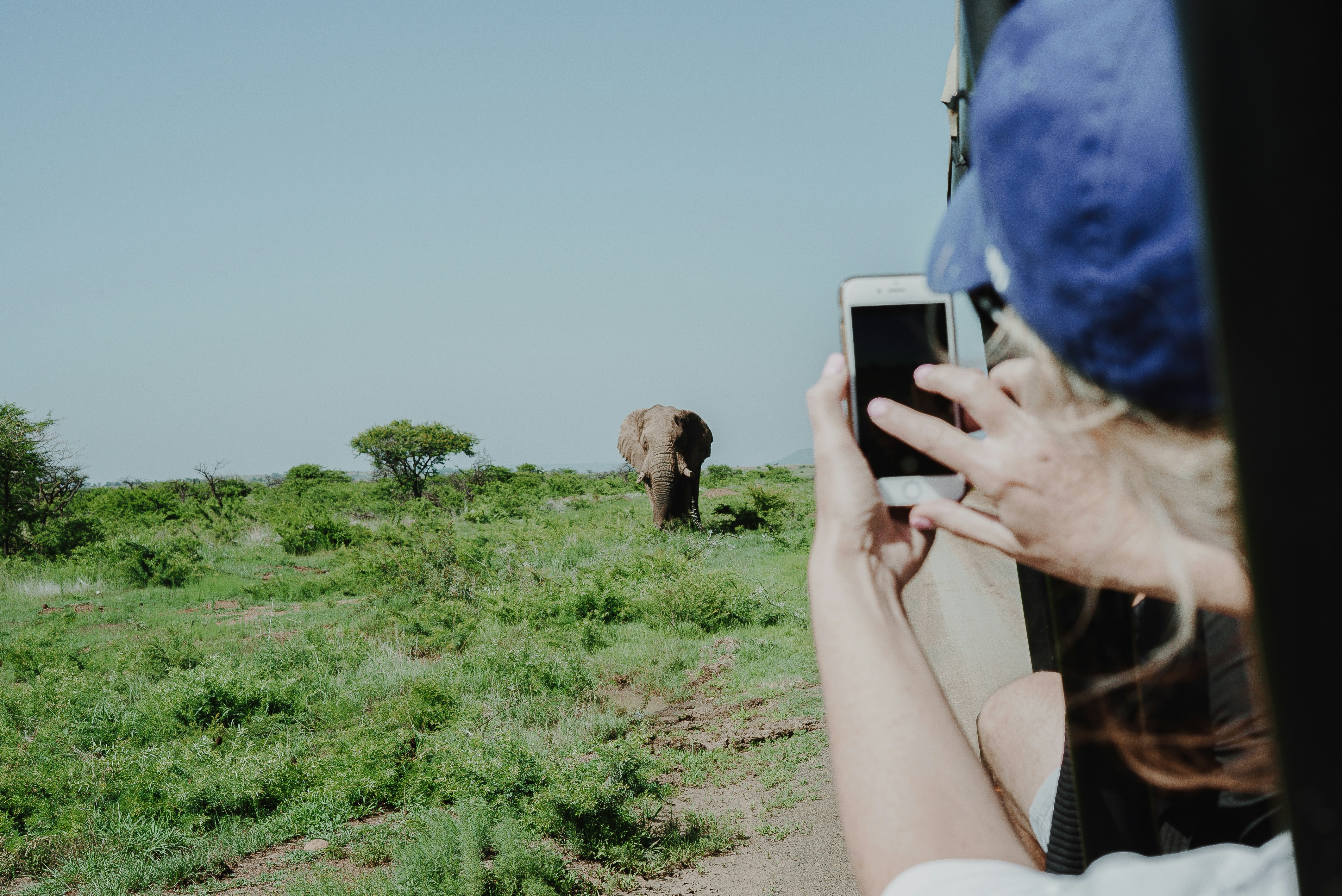 Person holding a smartphone while traveling in Africa