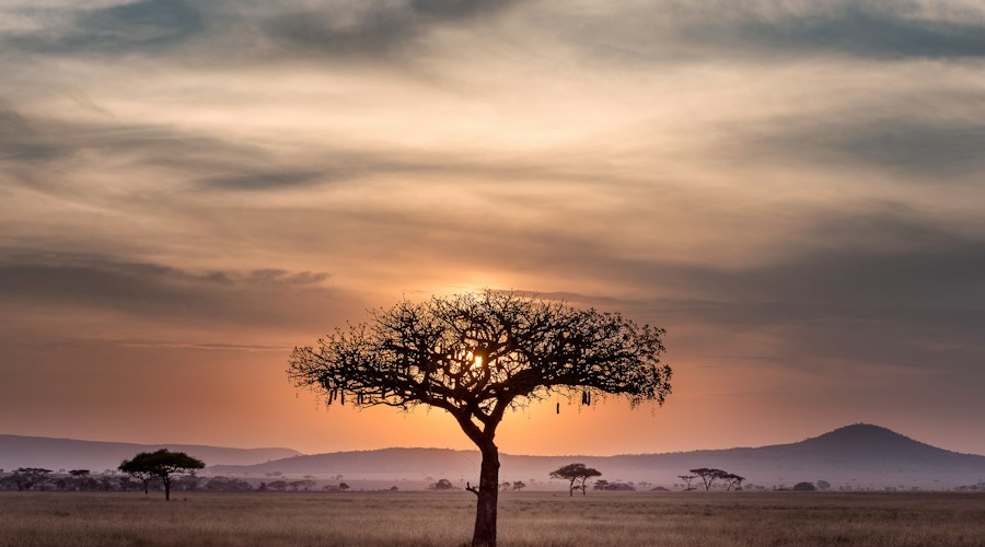 Afrique