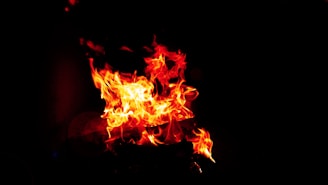 Bright, vibrant flames are leaping in various directions against a dark background. The fire seems energetic and powerful, casting a warm glow.