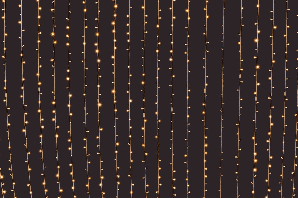 750+ Fairy Lights Pictures | Download Free Images on Unsplash