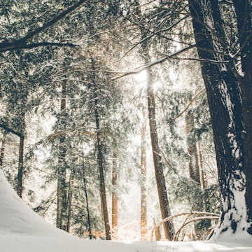 Cover Image for KC Climate Changemakers HOA