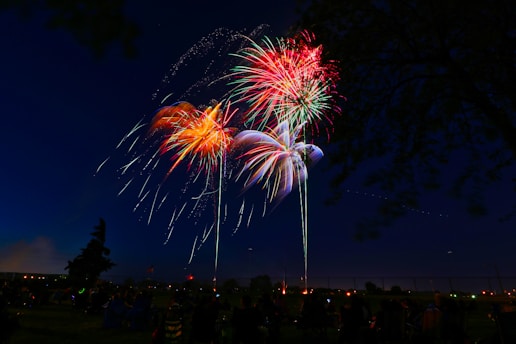 assorted-color fireworks display during night time
