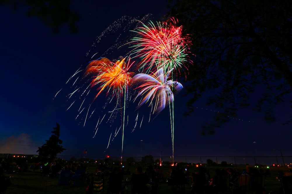 assorted-color fireworks display during night time