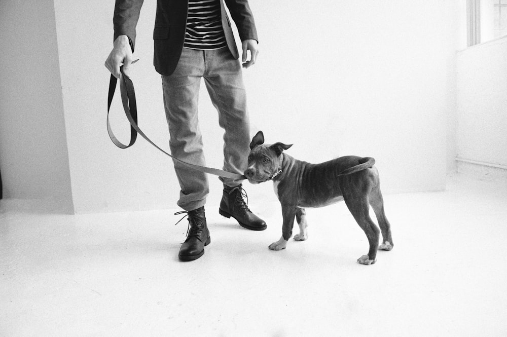 person holding leash of dog inside room