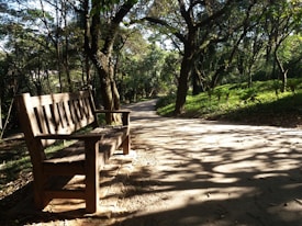 A peaceful park scene with a wooden bench positioned along a winding dirt path. The area is shaded by tall trees with dense foliage, and sunlight filters through the leaves, creating dappled patterns on the ground.