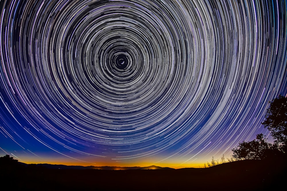 Fotografía de silueta de árboles y cielo