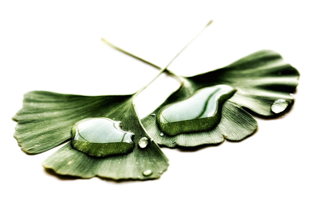 gocce d'acqua su due foglie verdi