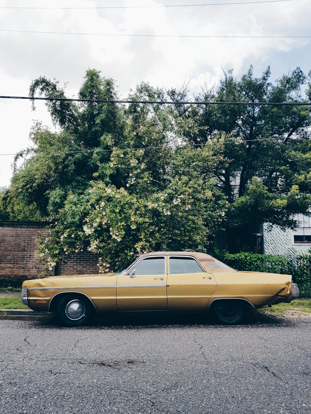 classic brown sedan parked near tree