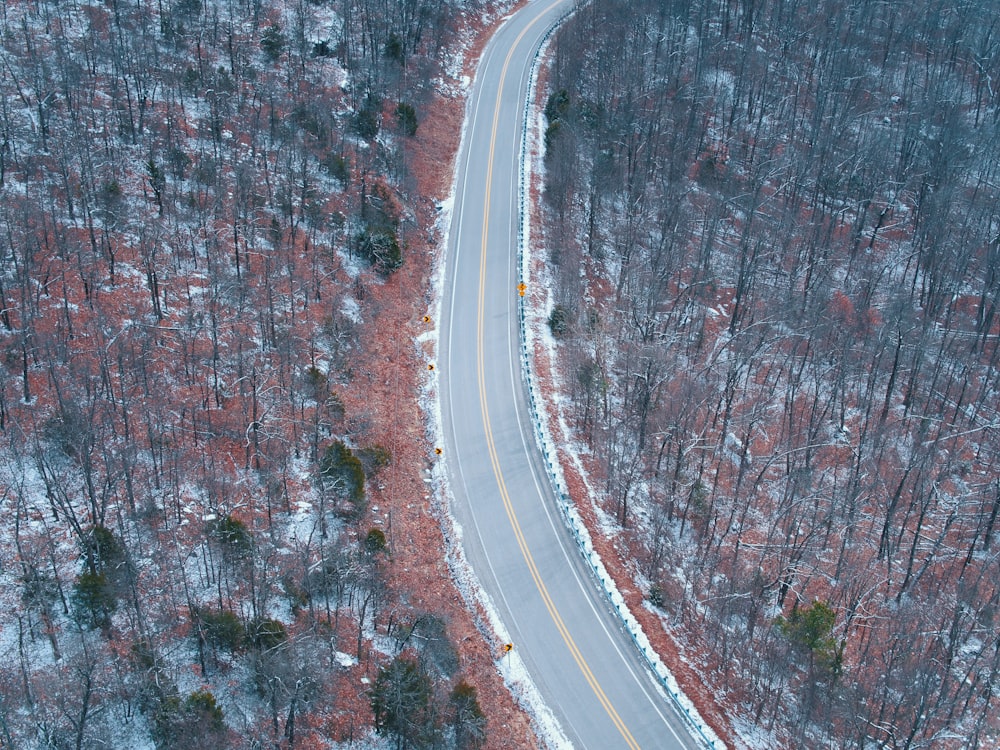 aerial photography of grey concrete road surrounded by bare trees at daytime