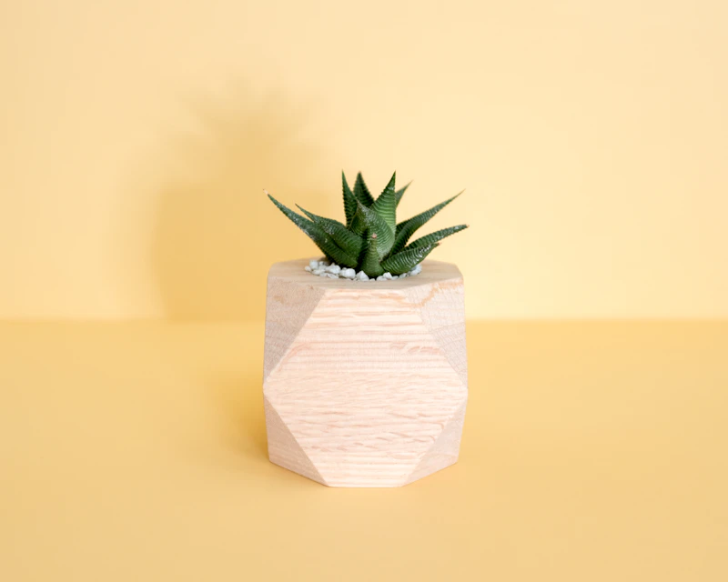 Laboratorio botanico