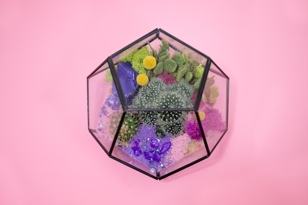 terrário de vidro transparente na superfície rosa