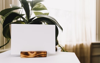 A serene image showcasing Kahlwn's elegant affirmation cards and home décor.