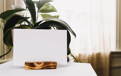 The Two of Wands card illuminated by soft morning light on a clean, modern desk.