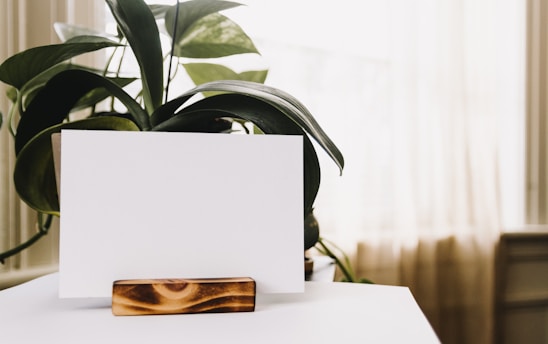 A serene image showcasing Kahlwn's elegant affirmation cards and home décor.