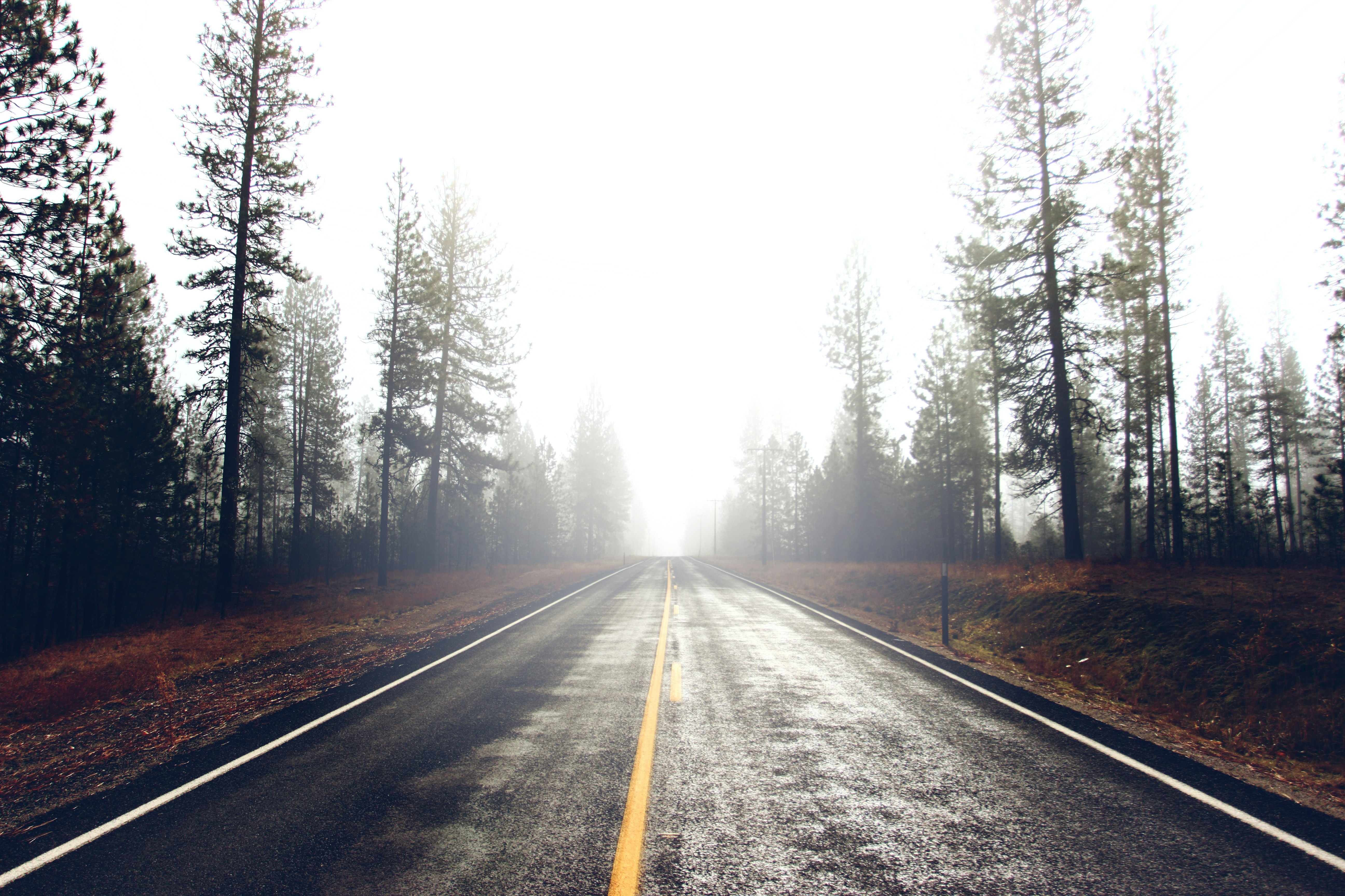 long exposure photo of empty roadway