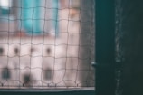A close-up view of a mesh netting in the foreground with an out-of-focus cityscape in the background. The net has a grid pattern and is framed by a vertical bar, suggesting a view from a window or enclosure.