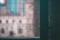 A close-up view of a mesh netting in the foreground with an out-of-focus cityscape in the background. The net has a grid pattern and is framed by a vertical bar, suggesting a view from a window or enclosure.