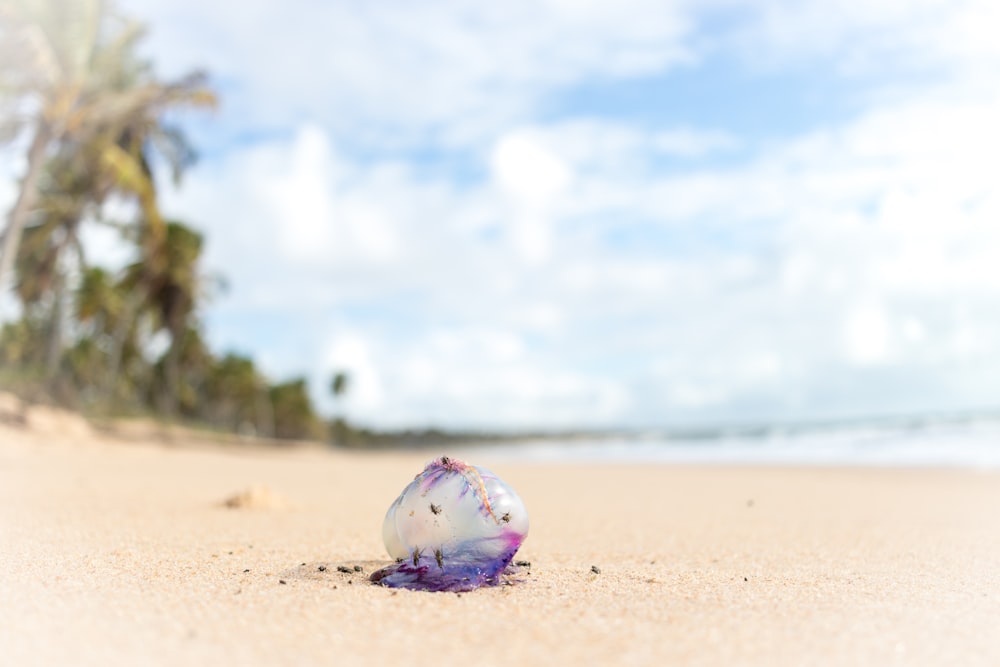 Fotografía de enfoque selectivo de bolsa transparente en la orilla del mar