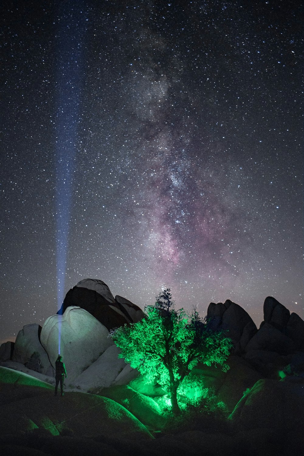 person with flashlight near lighted green tree on mountain under starry night