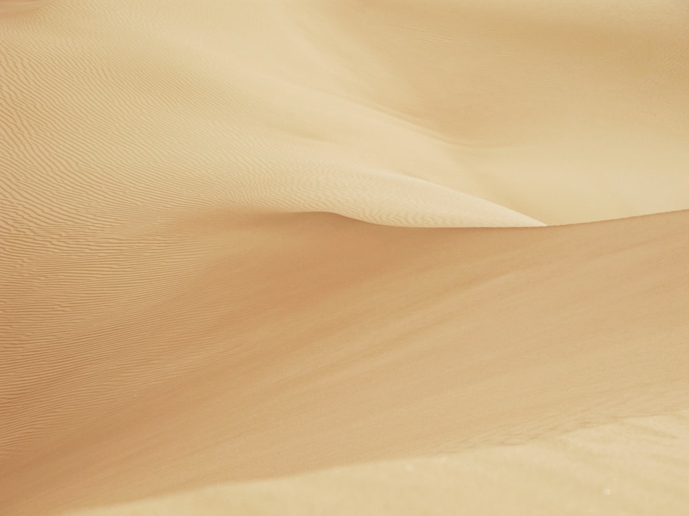 a person riding a camel in the desert