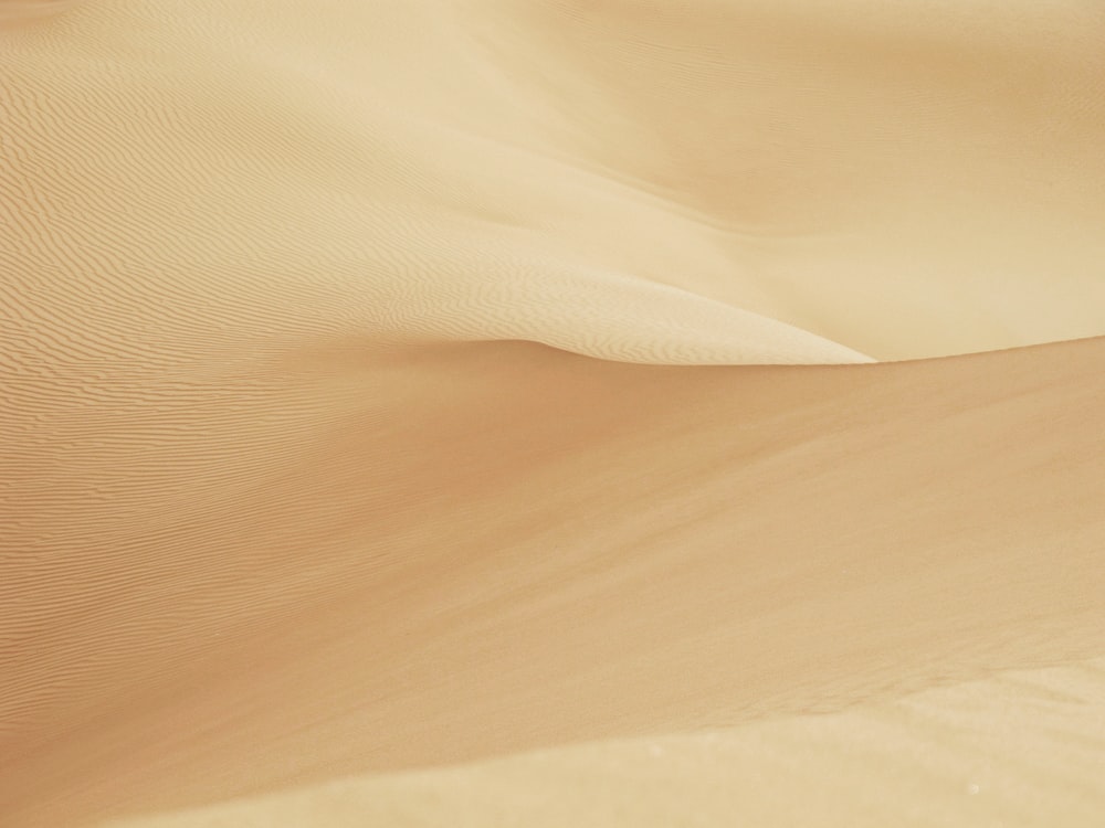 Una persona che cavalca un cammello nel deserto
