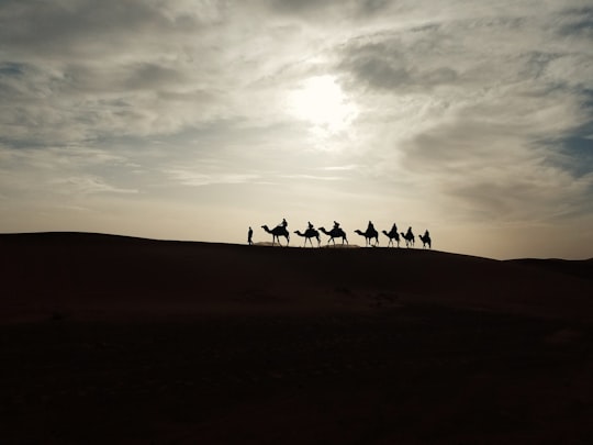silhouette of person riding camel in Erg Chebbi Morocco