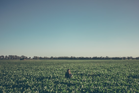 A farmer inspecting crops in a vast green field under a clear blue sky.
