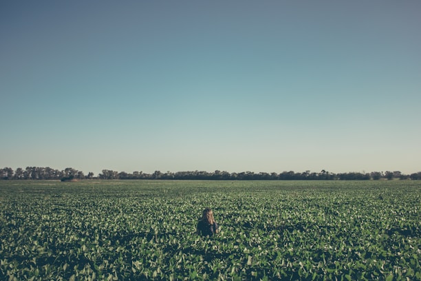 A farmer inspecting crops in a vast green field under a clear blue sky.