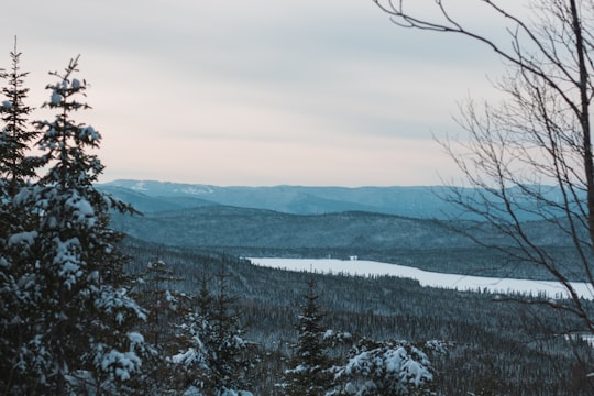 snowy field on the forest in Québec City Canada