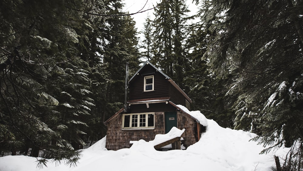 house in forest filled with snow