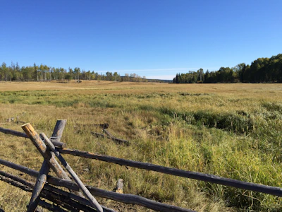 Wide open land bordered by a wooden fence.