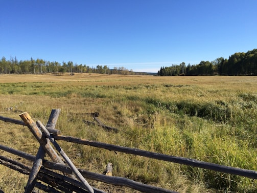 Wide shot of the lot boundaries marked with natural vegetation and open skies.