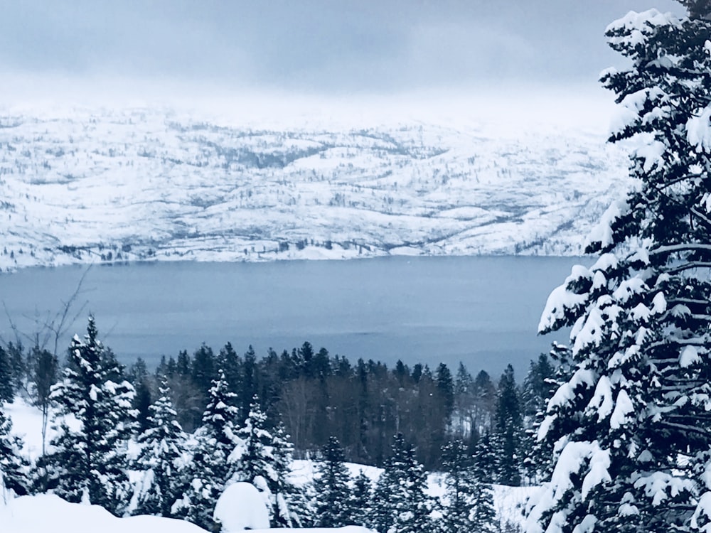 fjord coated with snow