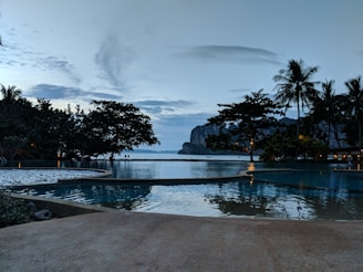 A peaceful infinity pool blending into the horizon with palm trees swaying nearby.