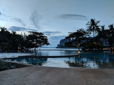 A peaceful infinity pool blending into the horizon with palm trees swaying nearby.