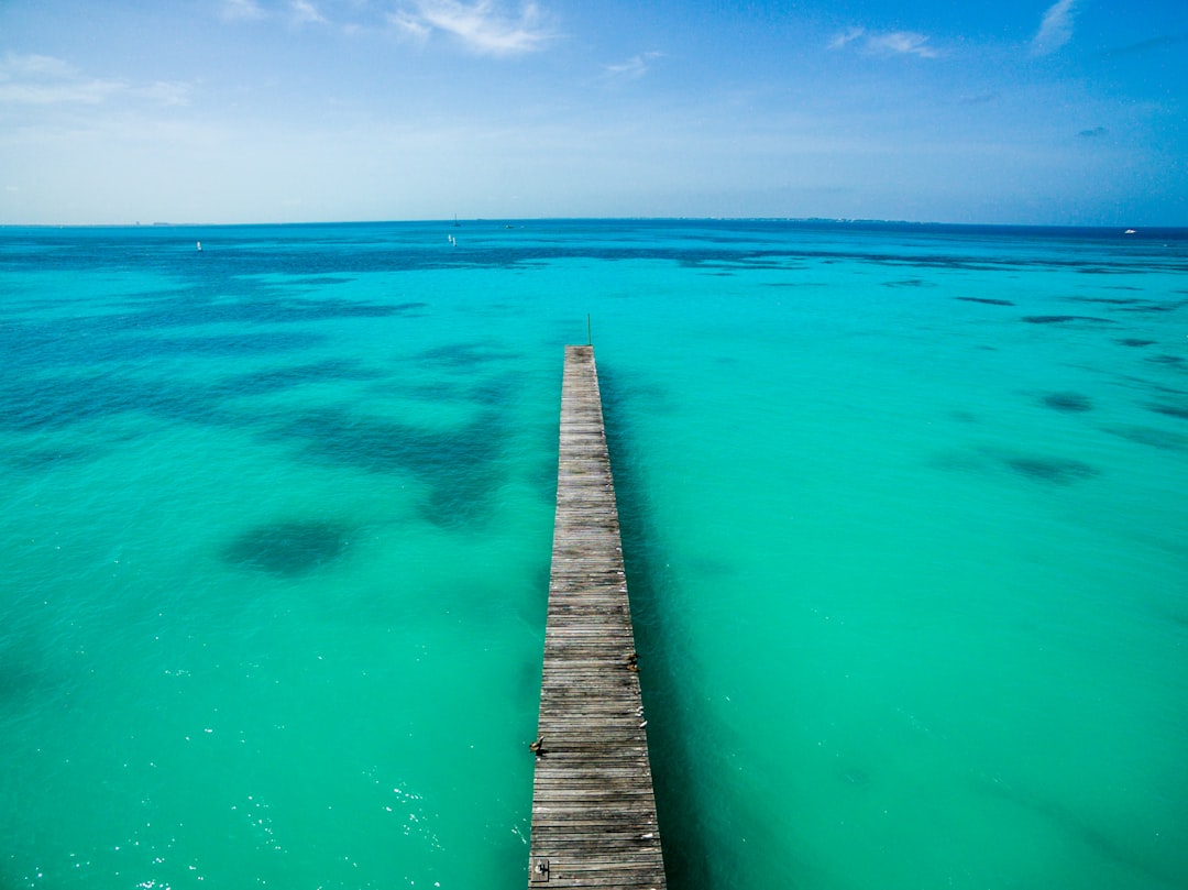 aerial photography of brown wooden beach dock and blue ocean under clear blue sky