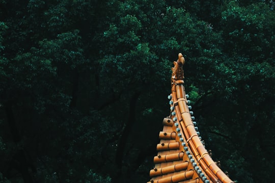 orange temple roof near trees in Yellow Crane Tower China