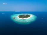 island surrounded with water with trees