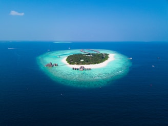 island surrounded with water with trees