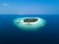 island surrounded with water with trees