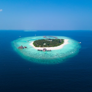 island surrounded with water with trees